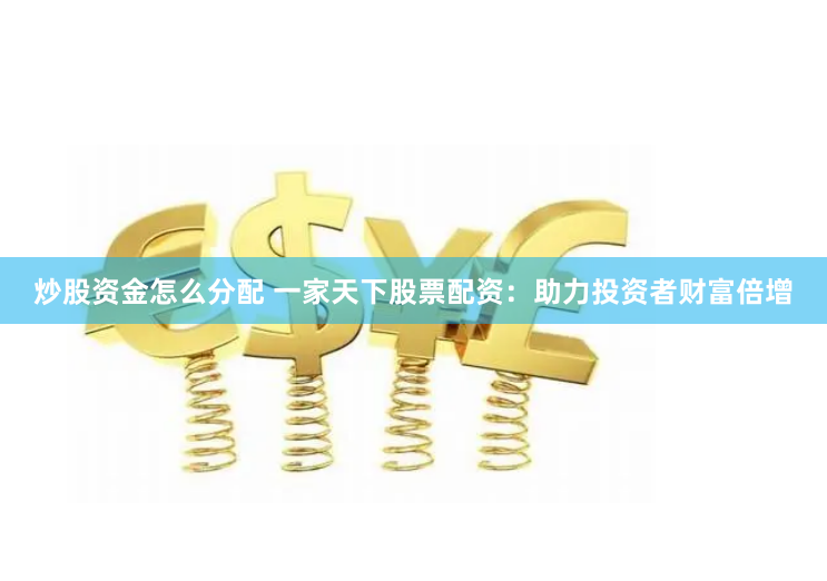炒股资金怎么分配 一家天下股票配资：助力投资者财富倍增