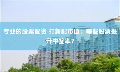 专业的股票配资 打新配市值：哪些股票提升中签率？