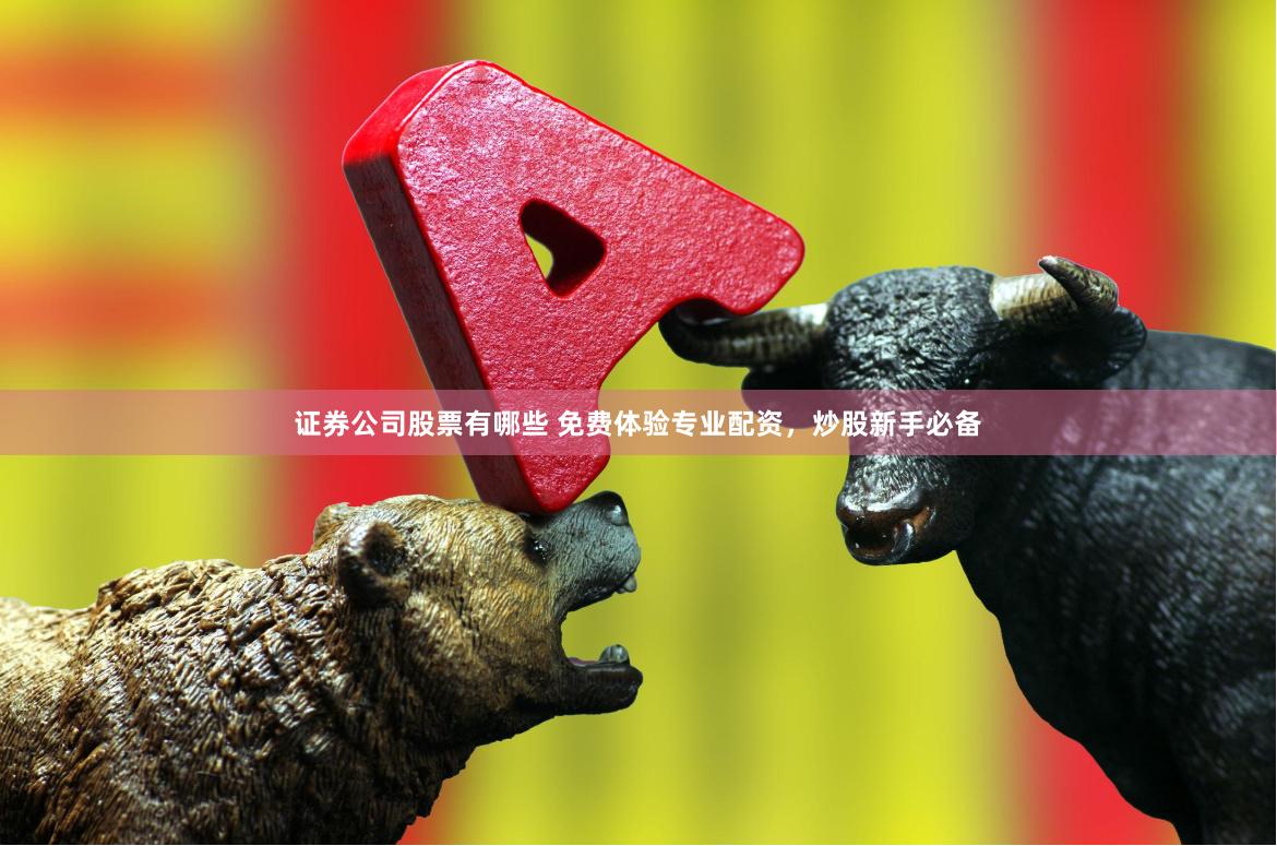 证券公司股票有哪些 免费体验专业配资，炒股新手必备