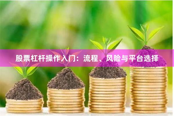 股票杠杆操作入门:流程、风险与平台选择