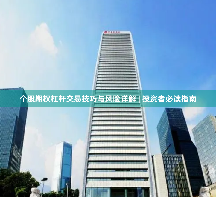 个股期权杠杆交易技巧与风险详解 | 投资者必读指南